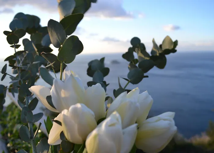 Casa La Bifora Positano